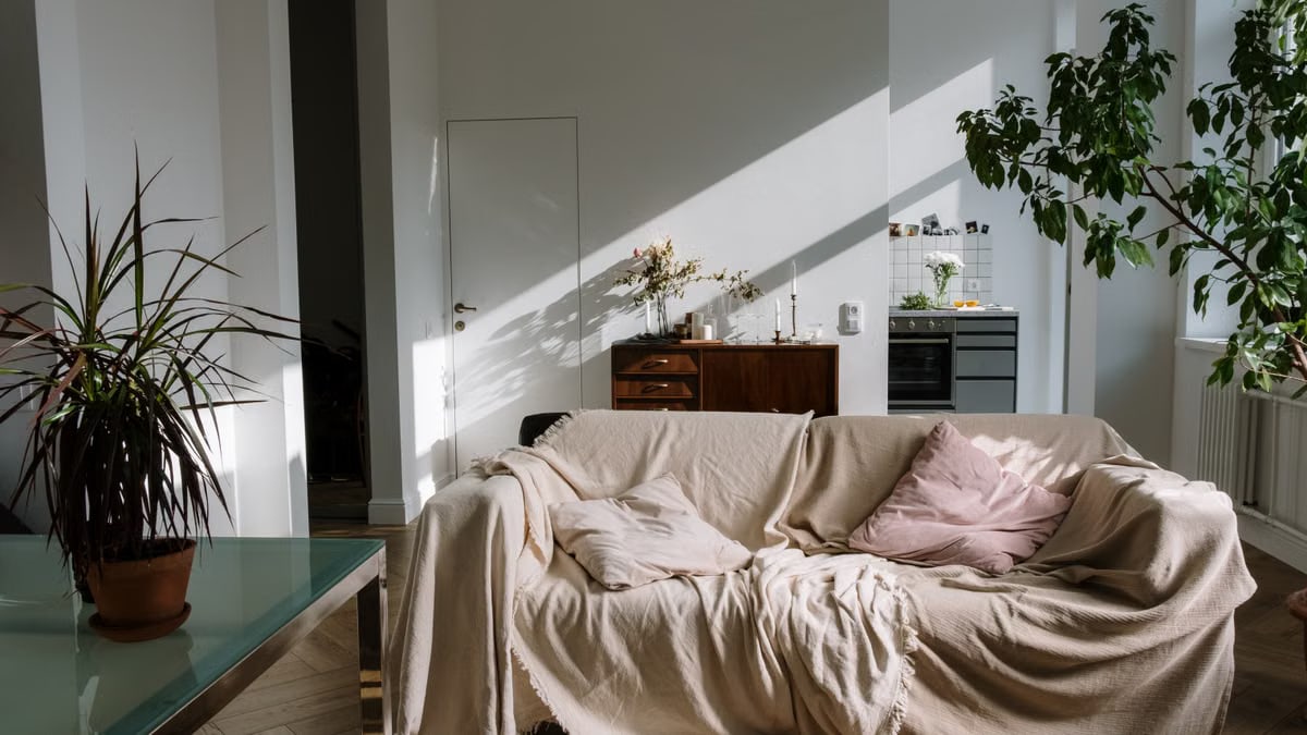Sunlit cozy apartment interior featuring a comfortable beige-covered sofa, potted plants, and warm decor.